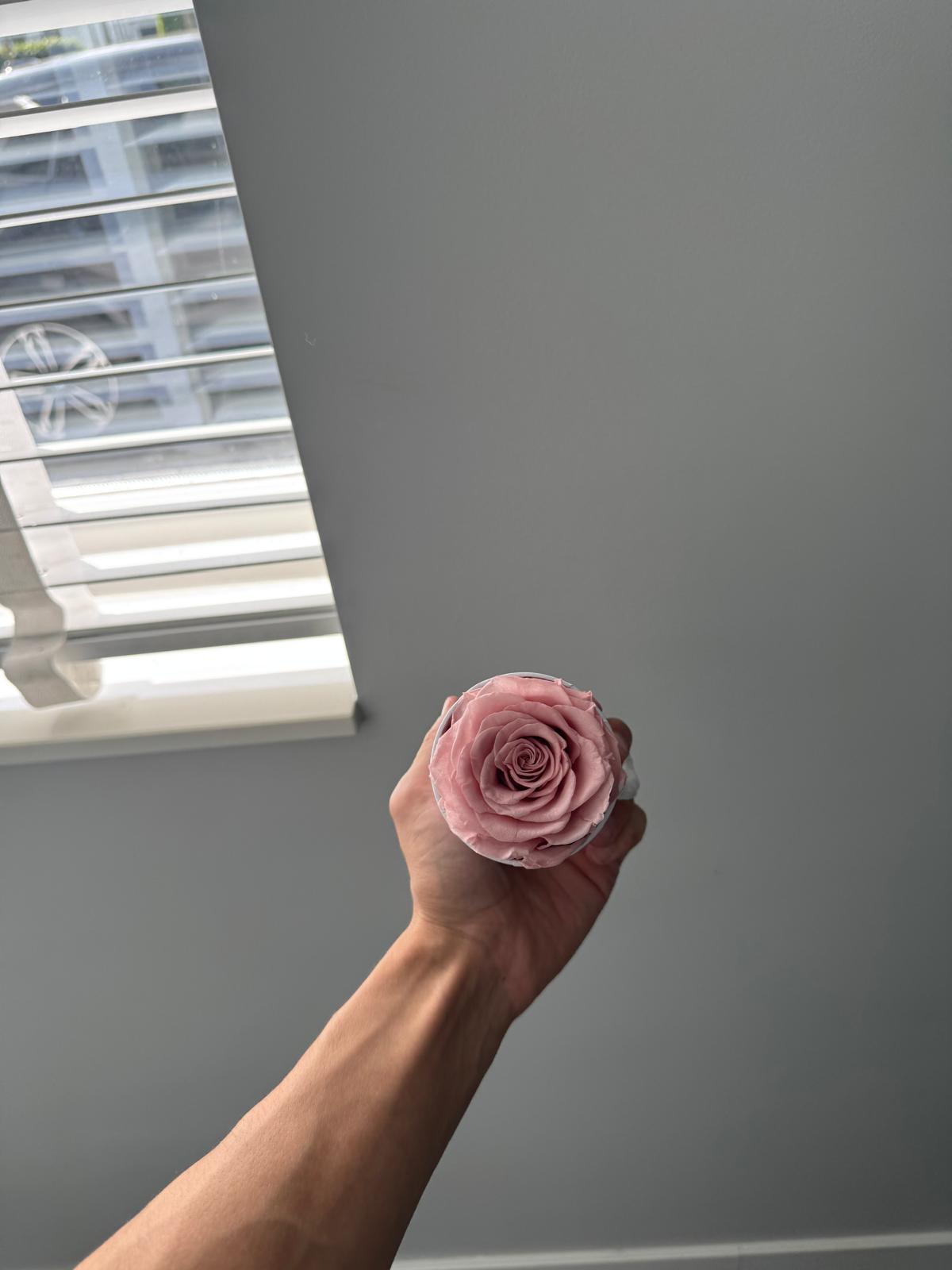 Single flowerbox