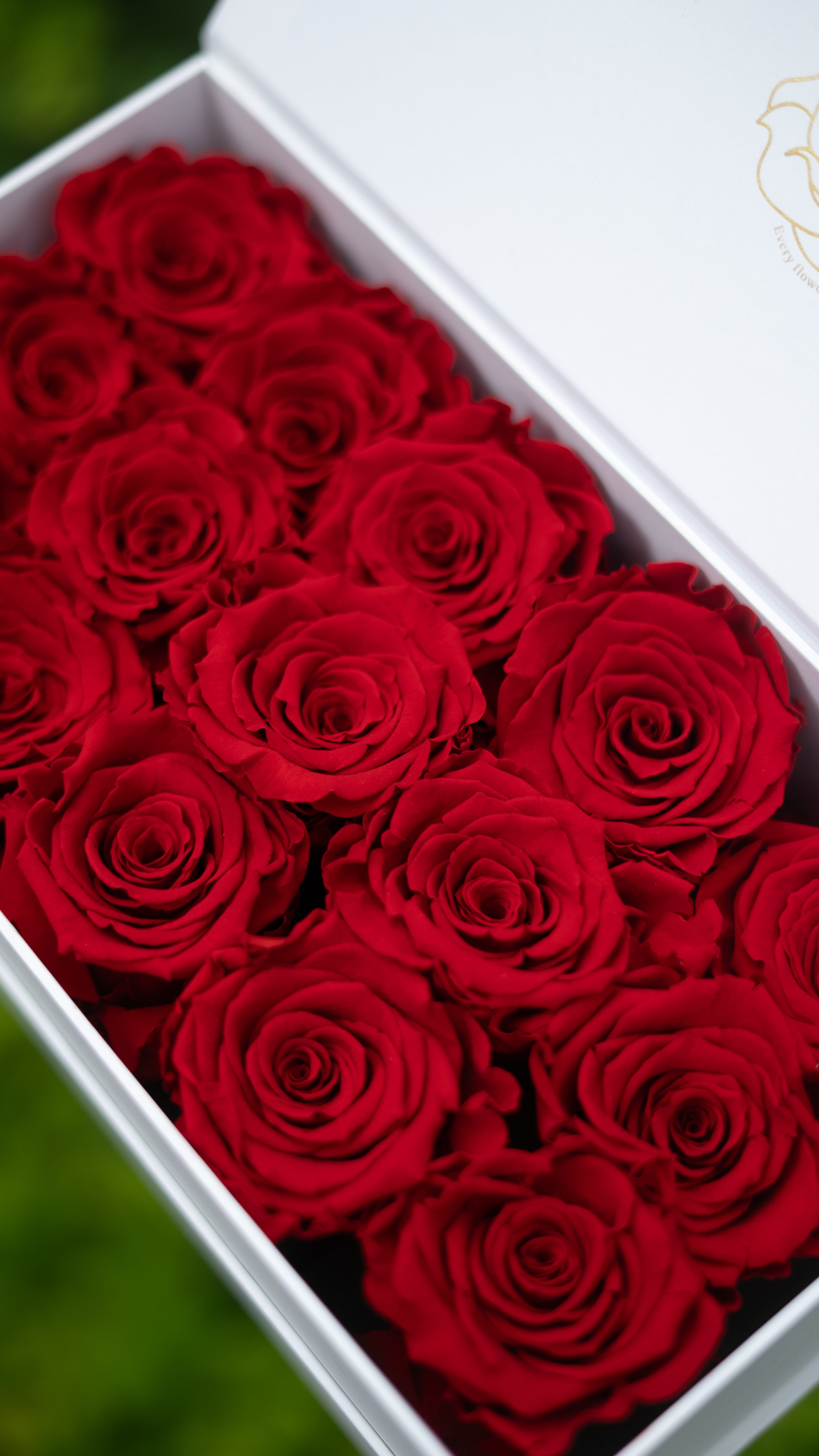 Flowerbox medium white