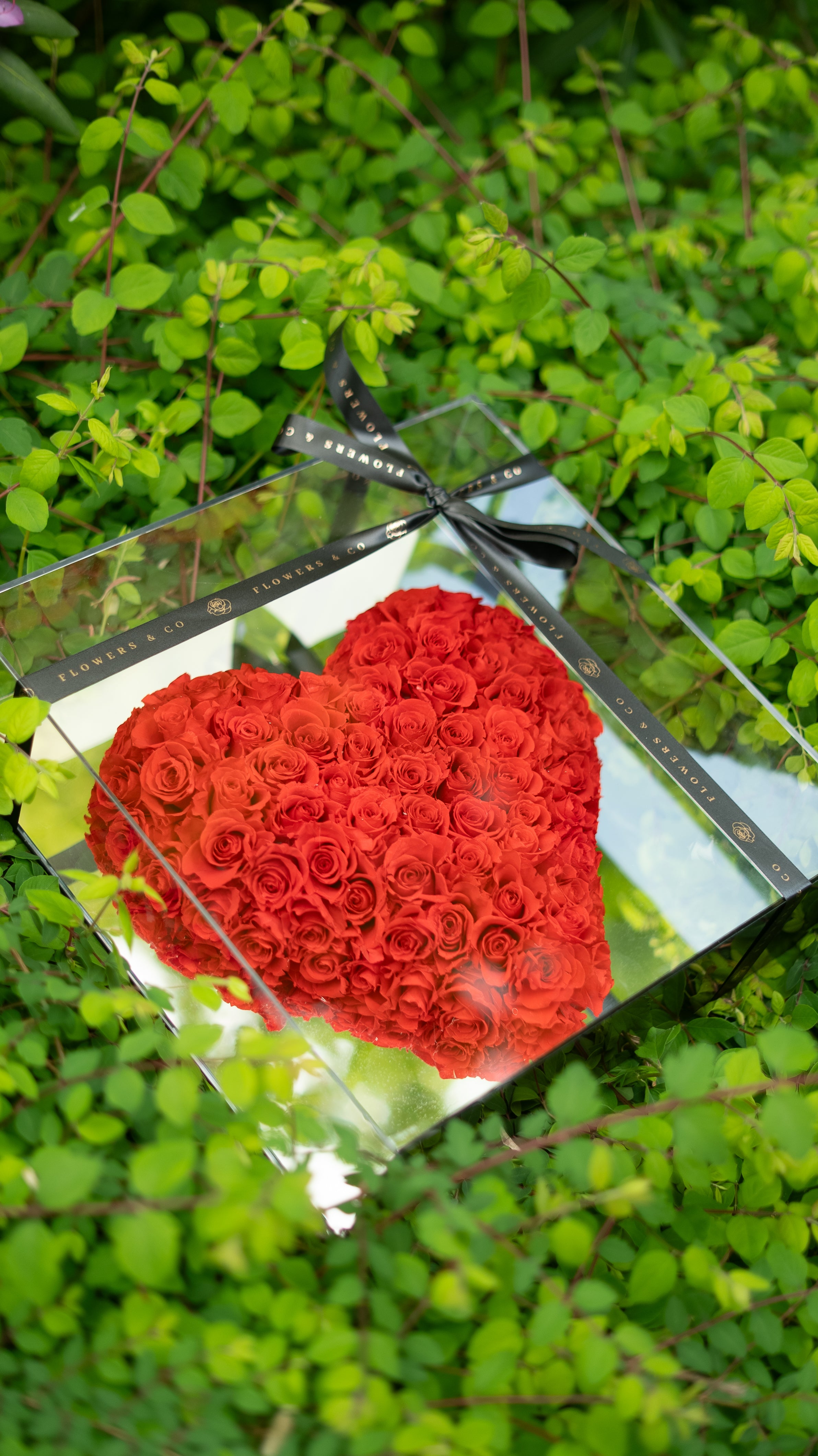 Amour Éternel