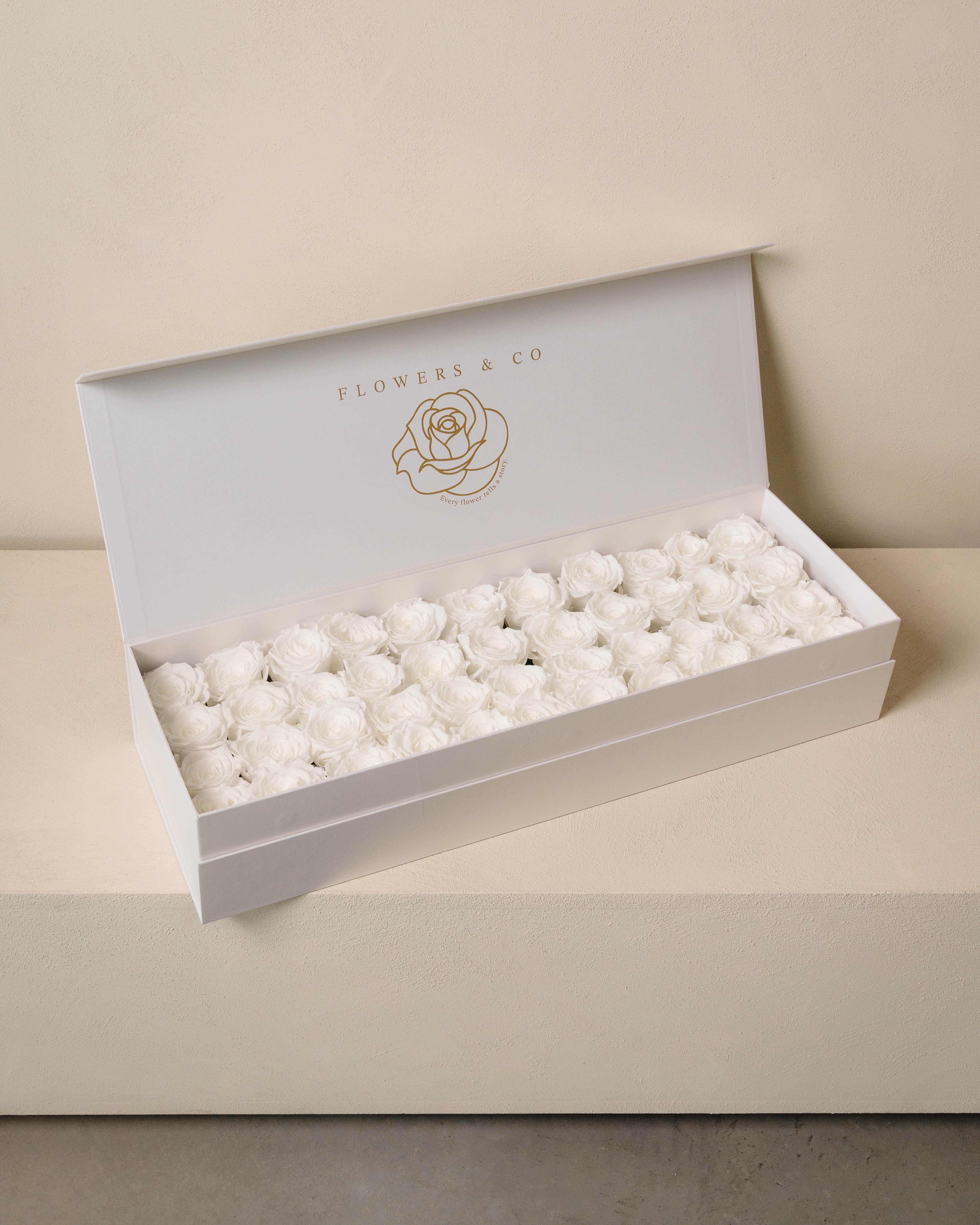 White Longlife Rose Box – Large