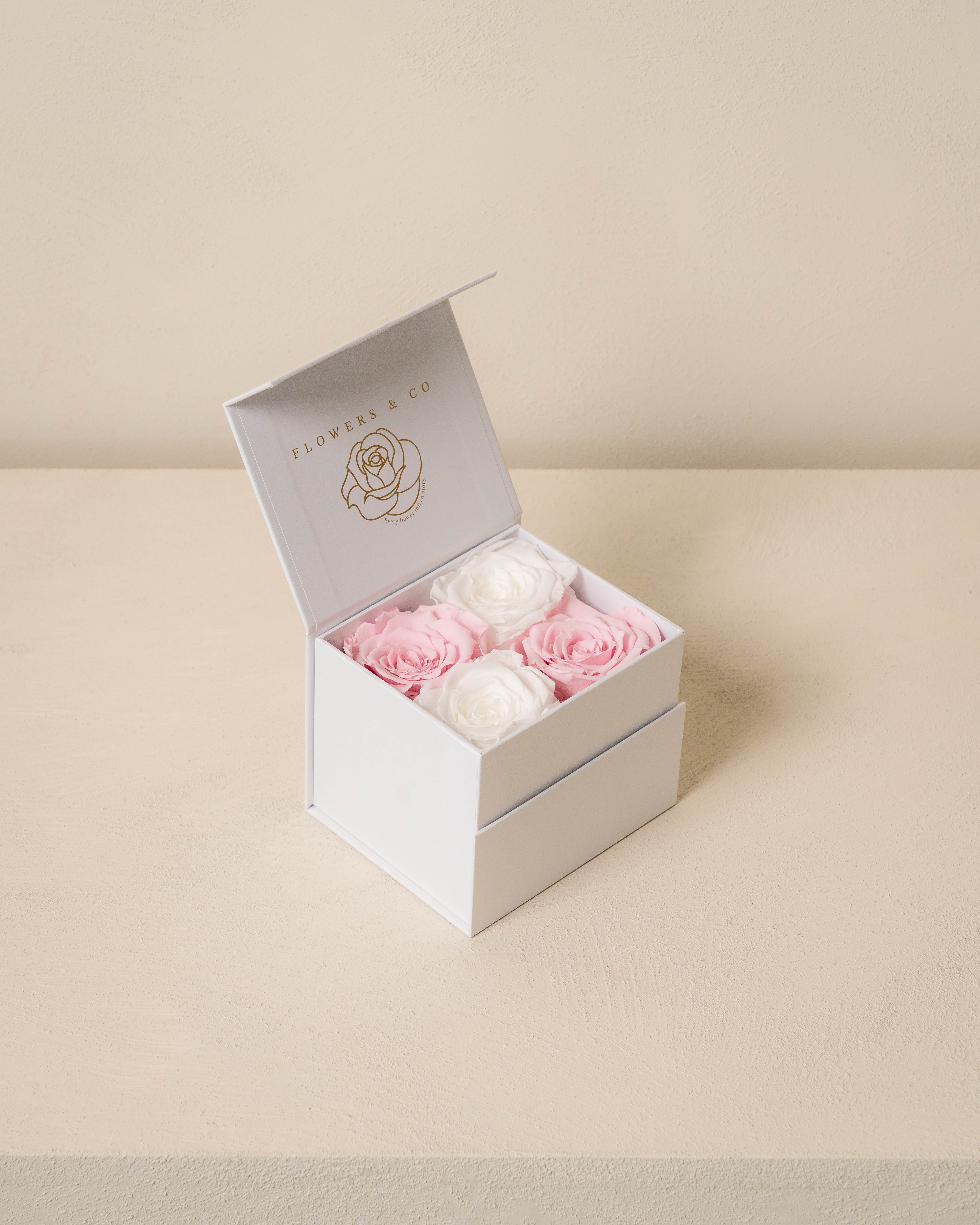 Pink/white mix longlife rose box- small
