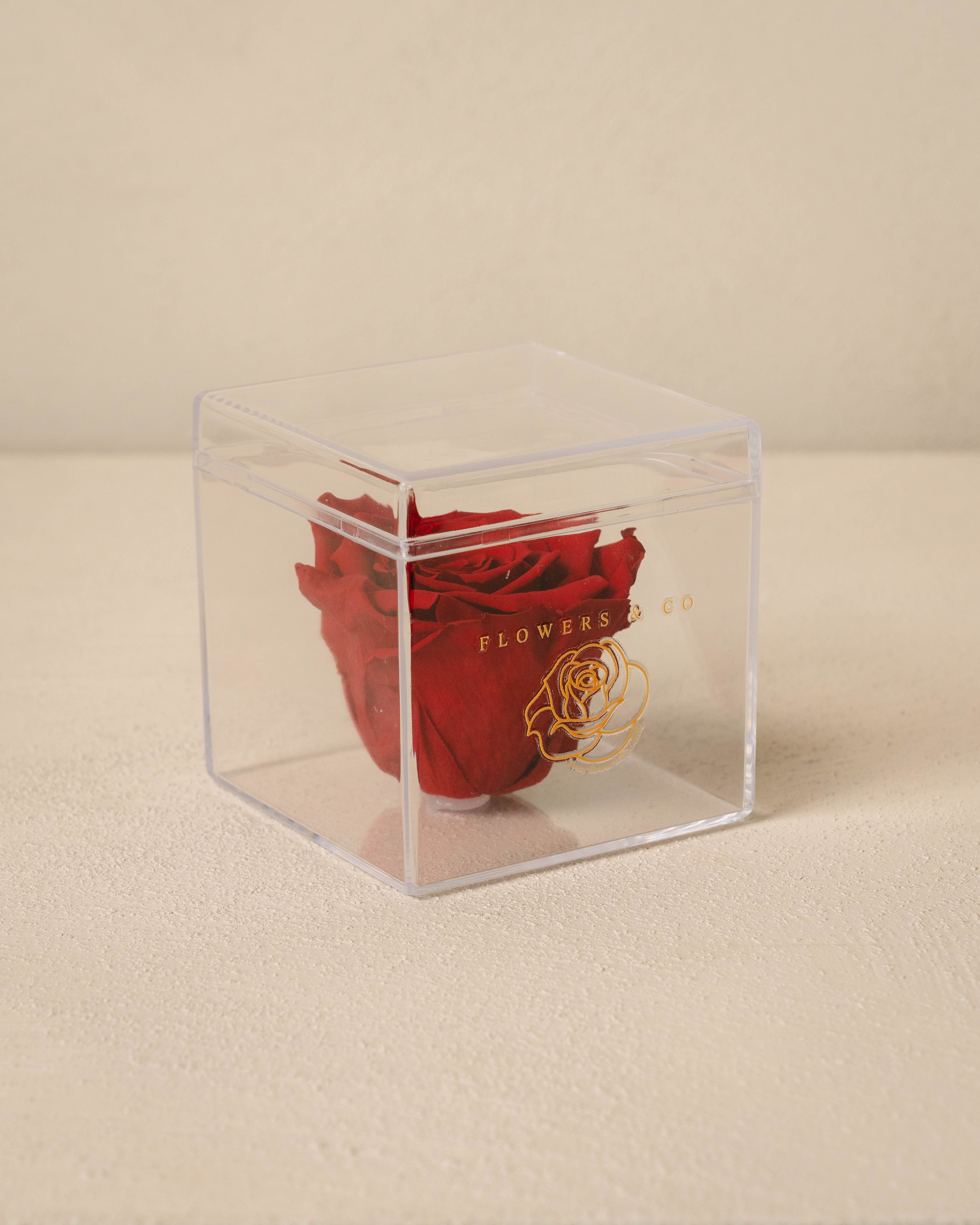 Single Acryl box