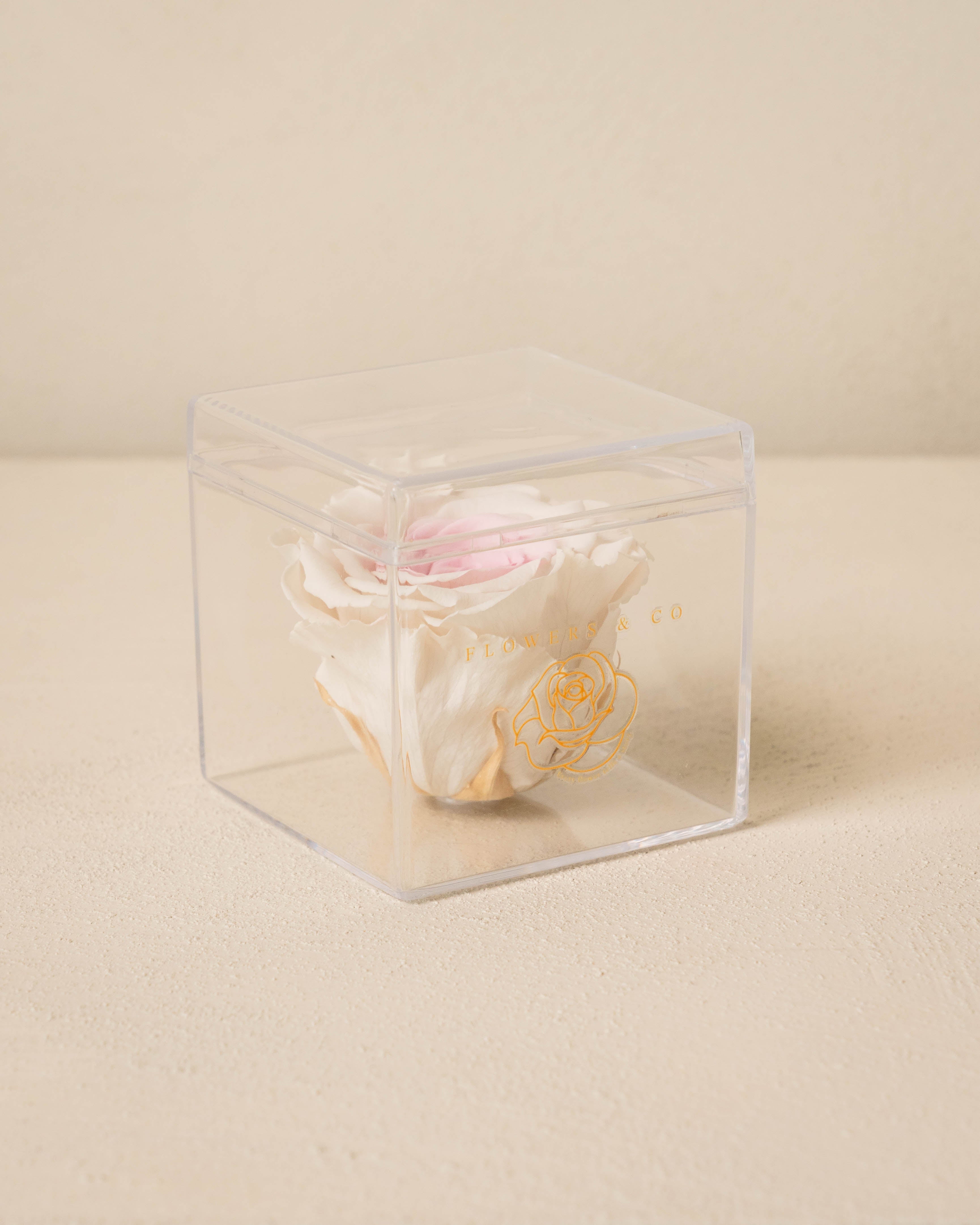 Single Acryl box