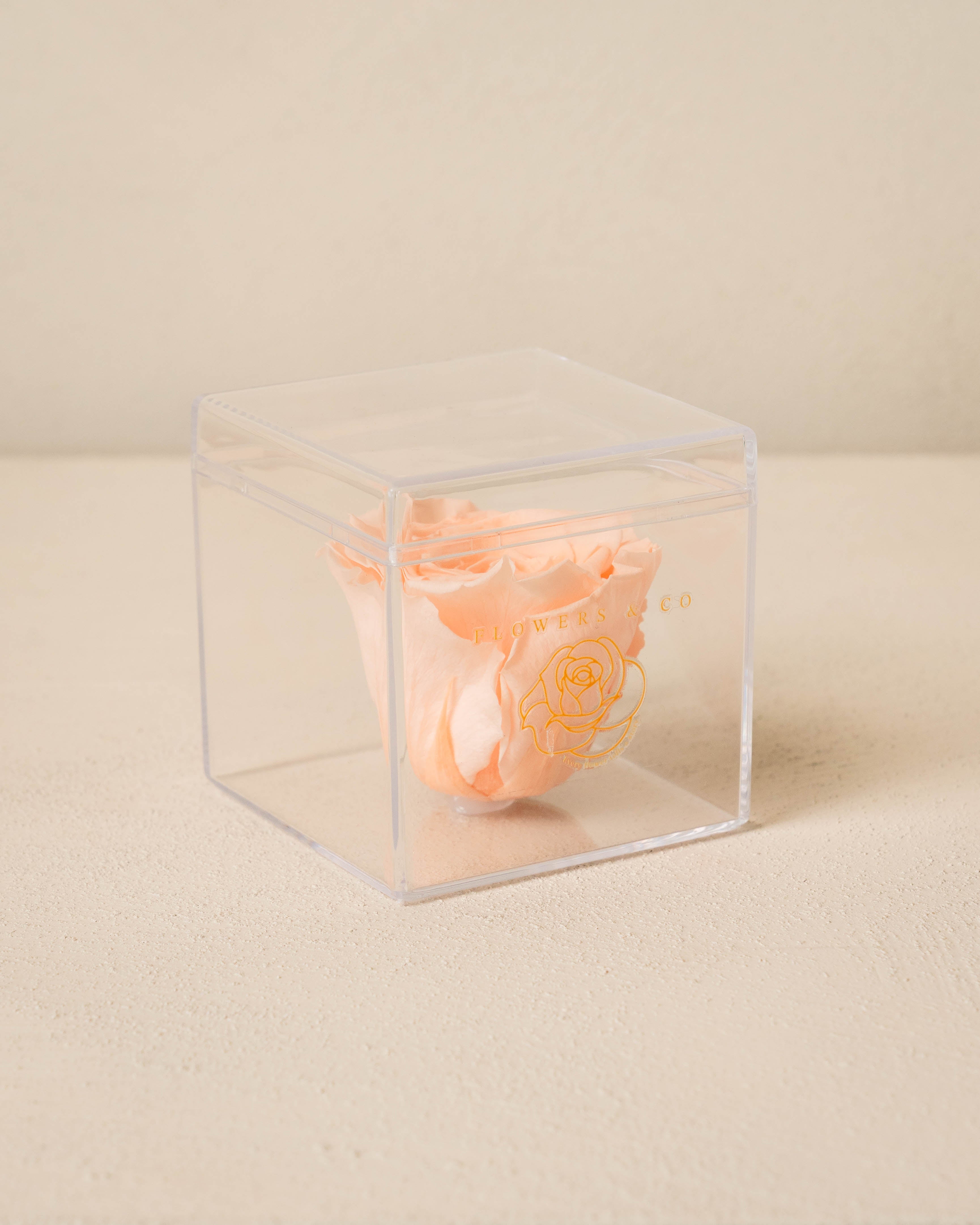 Single Acryl box
