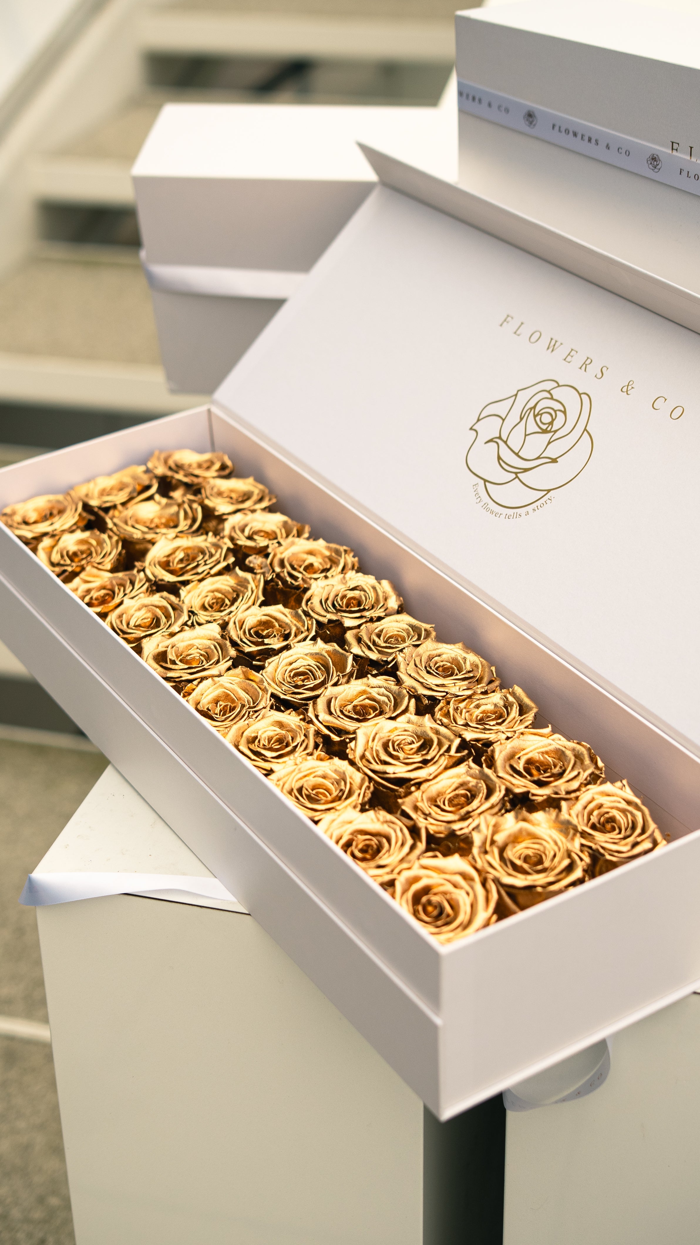 Flowerboxen