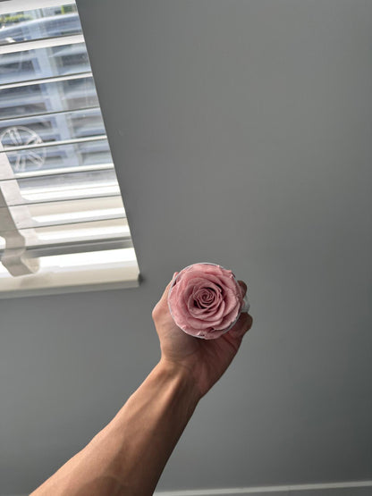 Single flowerbox
