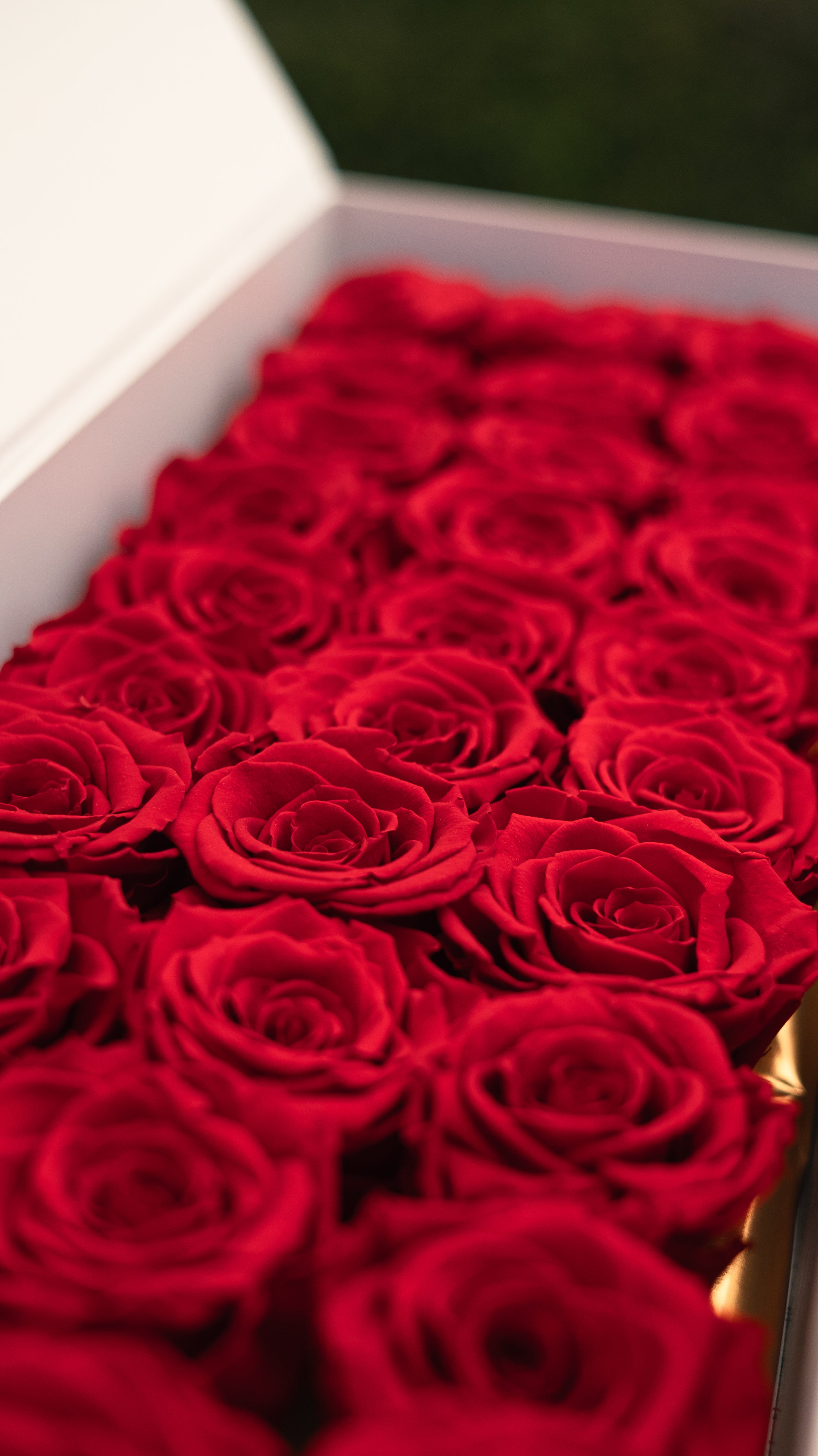 flowerbox rood