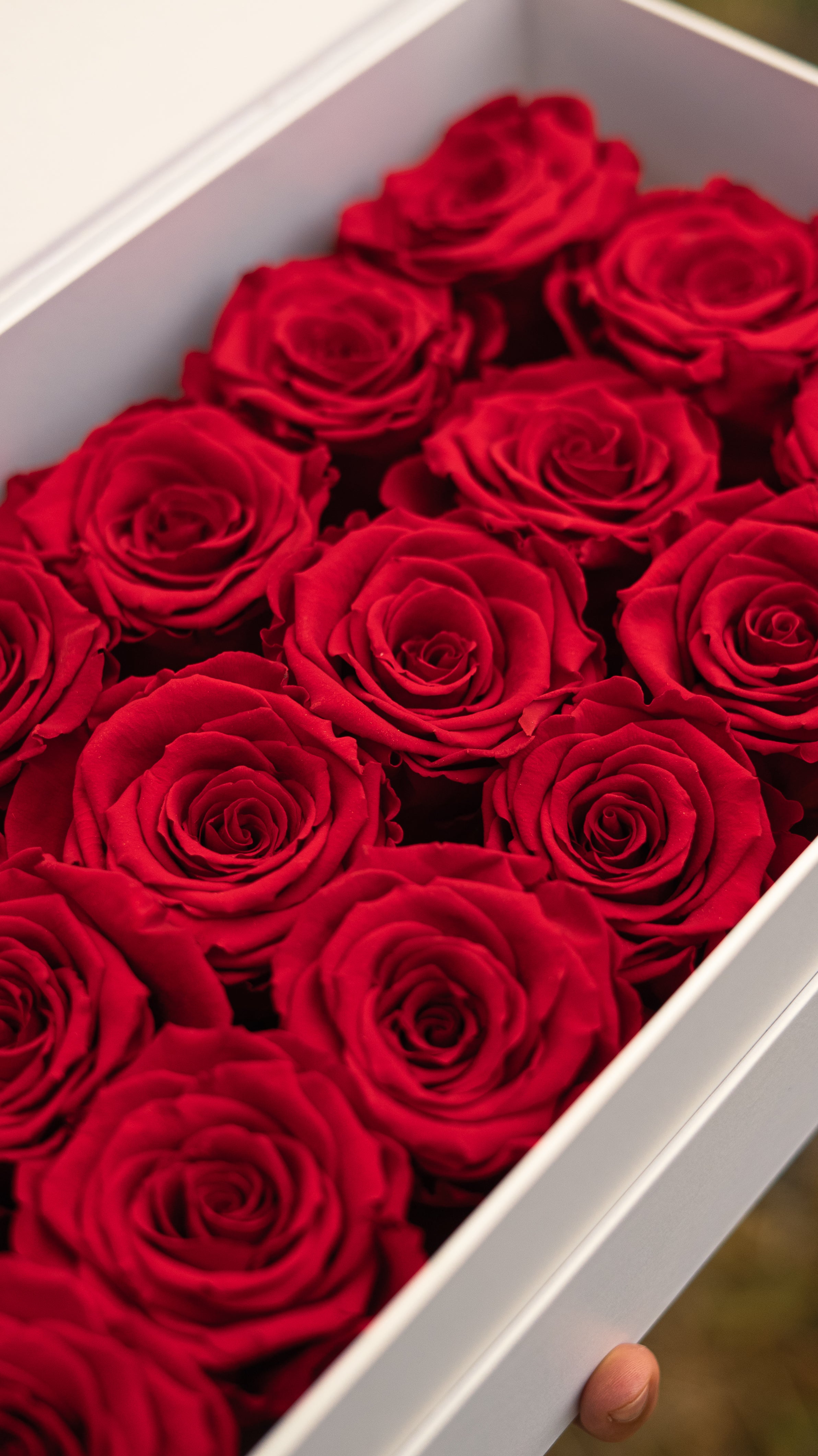Flowerbox groot