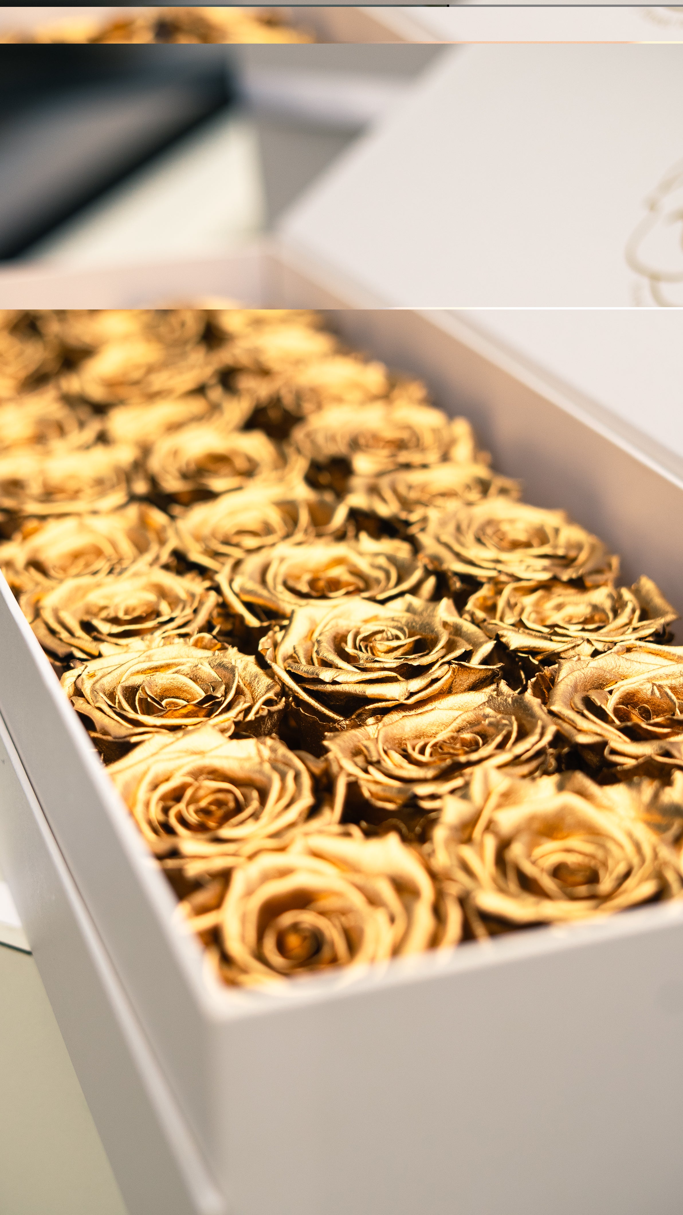 Flowerbox goud