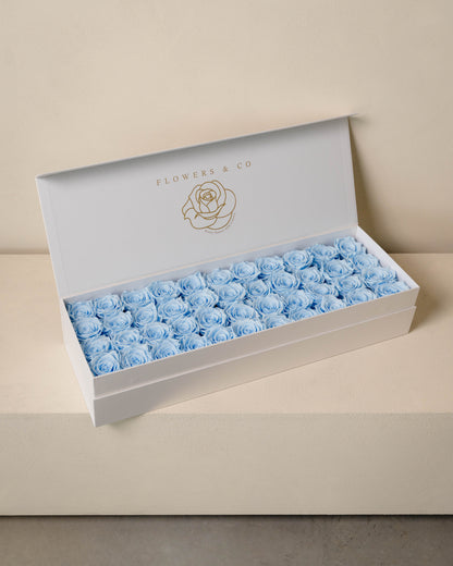 Blue Longlife Rose Box – Large