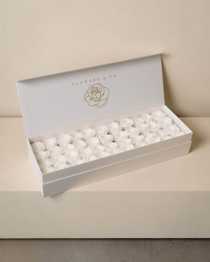 White Longlife Rose Box – Large