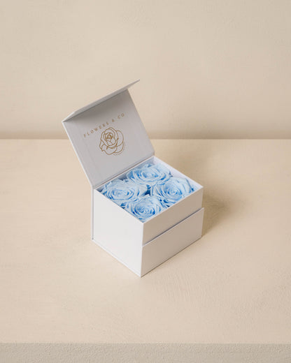 Blue longlife rose box- small