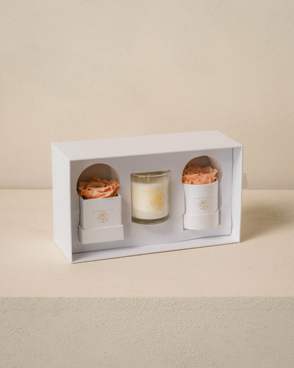 Scent & Flower gift