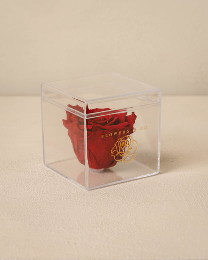 Single Acryl box