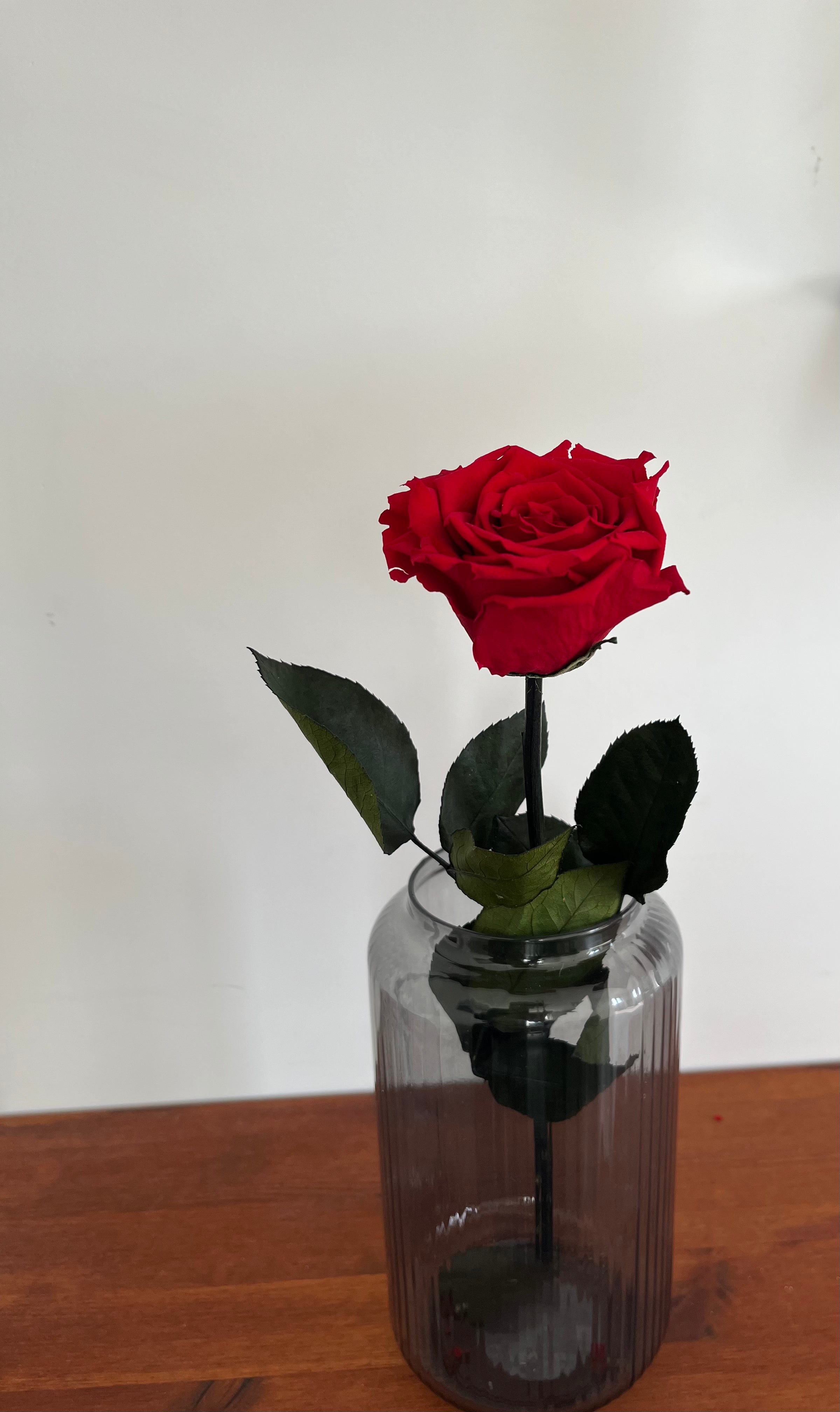 Longlife single roos