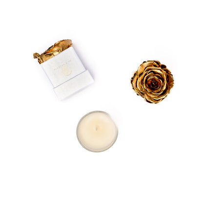 Scent & Flower gift