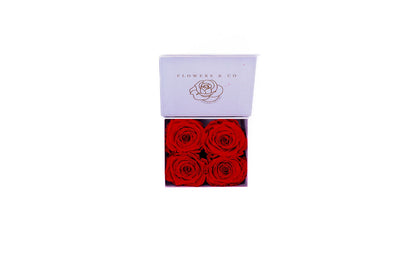 Flowerbox small white