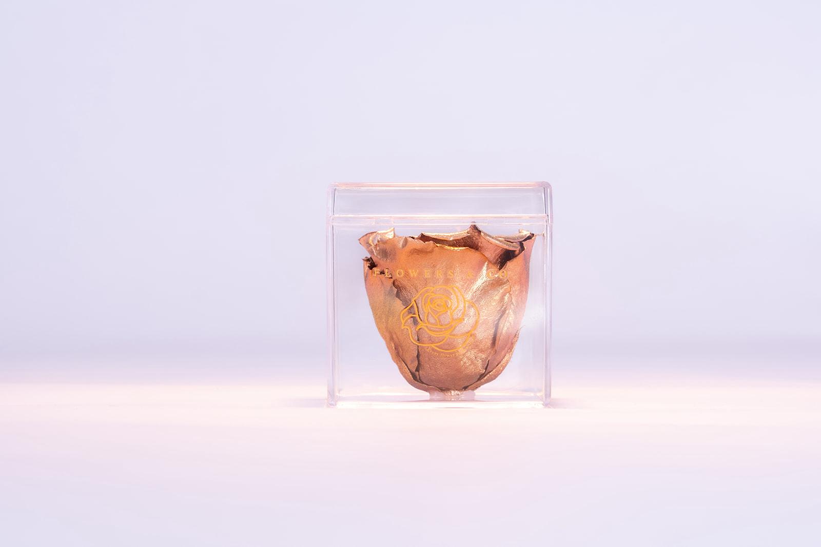 Single Acryl box