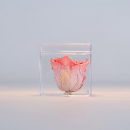 Single Acryl box