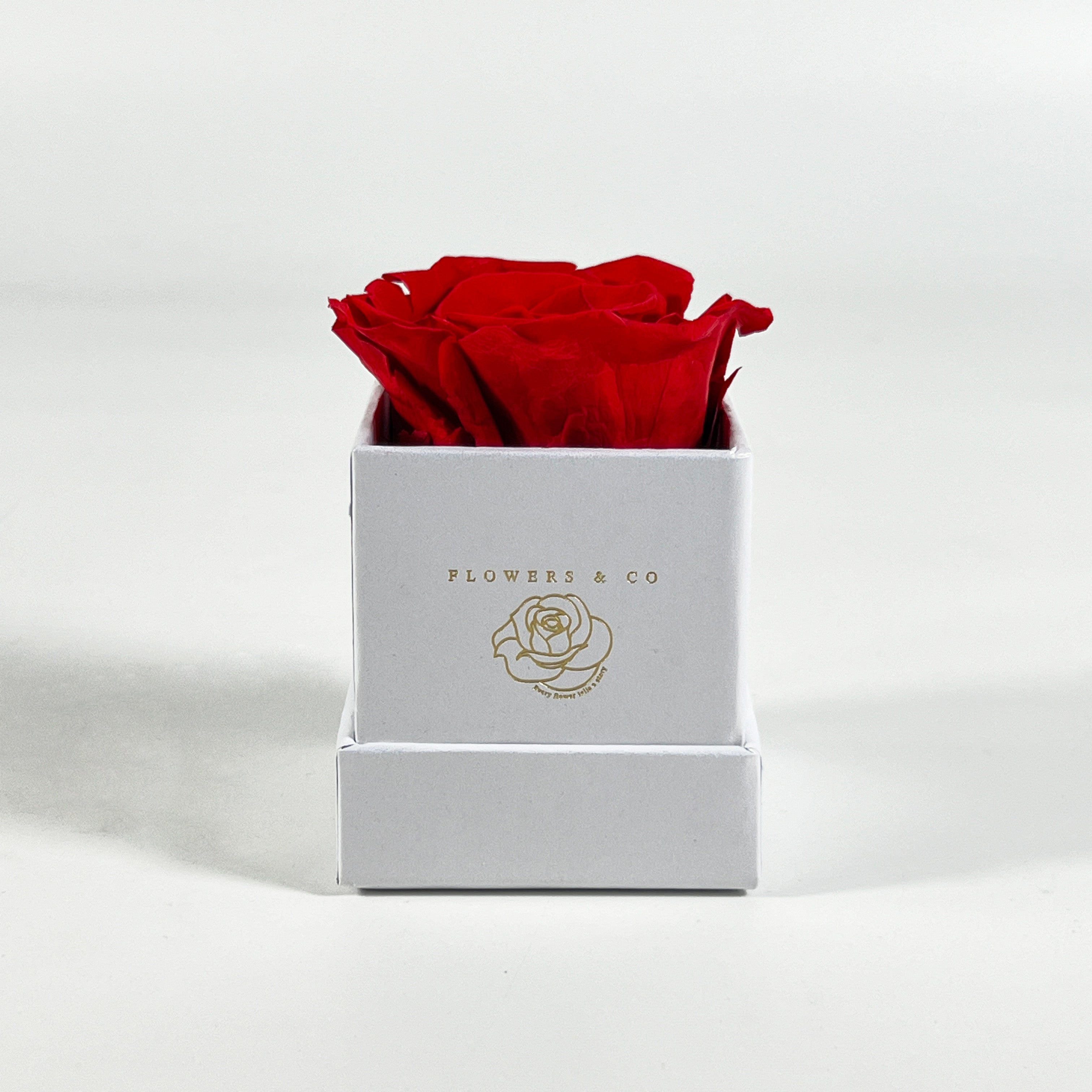 Aromatherapy gift pakket