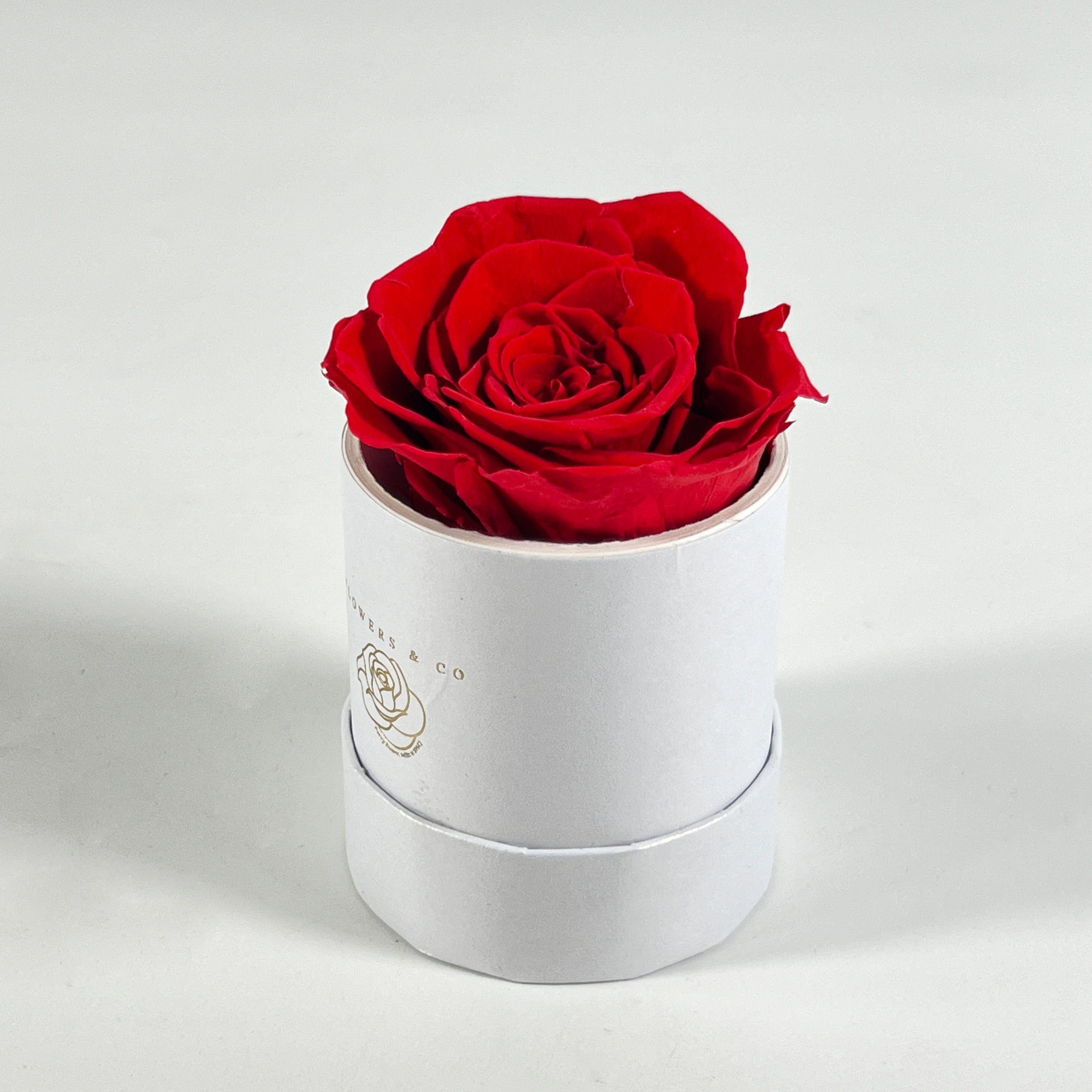 Aromatherapy gift pakket