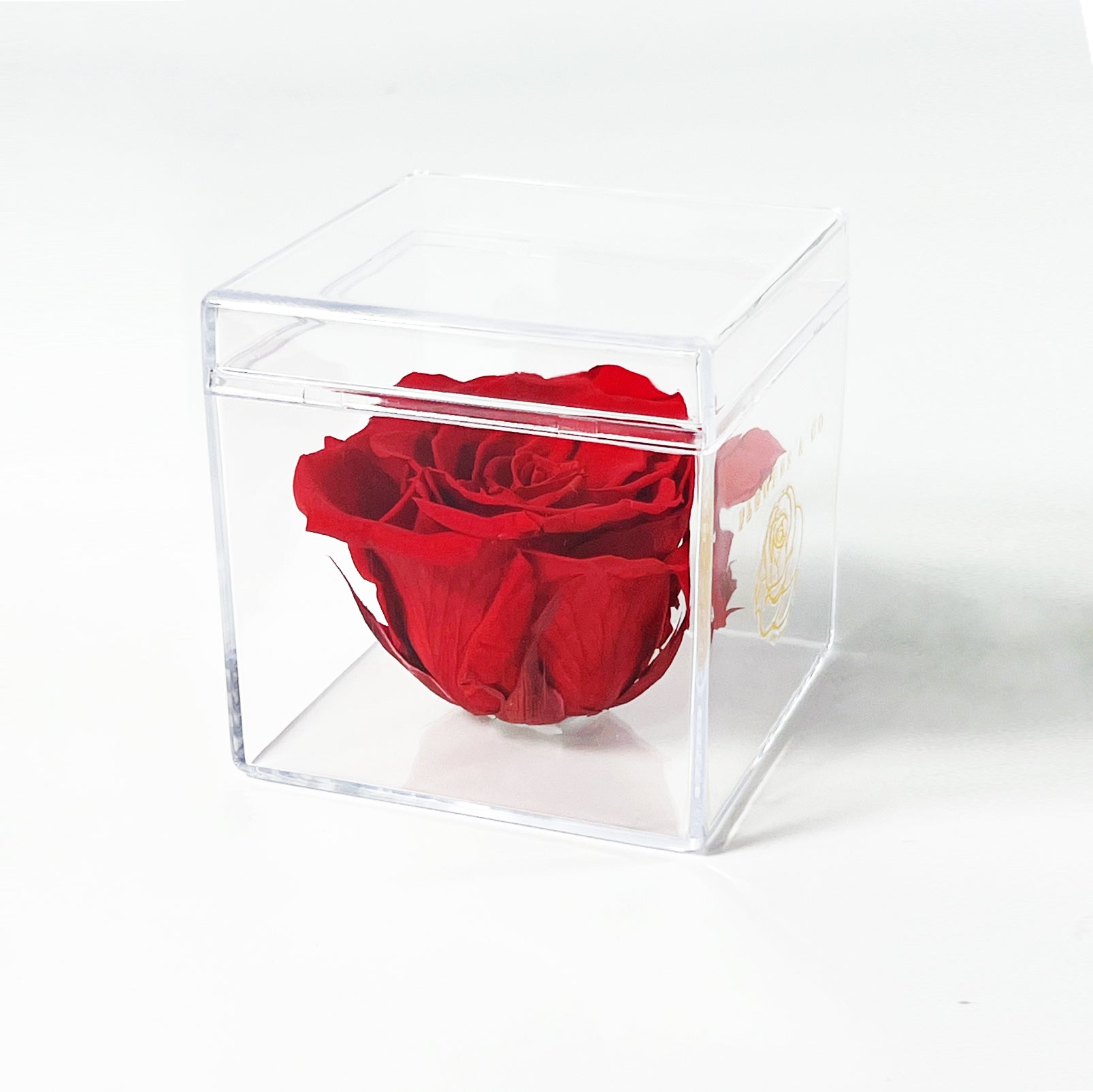 Single Acryl box