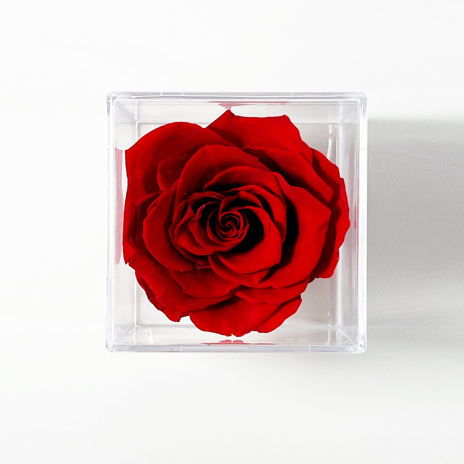 Single Acryl box