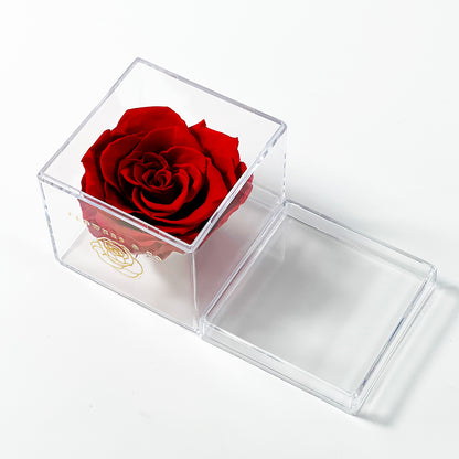Single Acryl box
